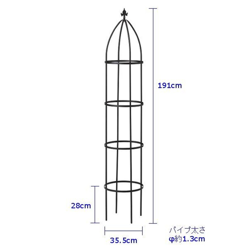 ポイント10倍 / 【LINE友達登録1,000円OFFクーポン】 オベリスク バラ