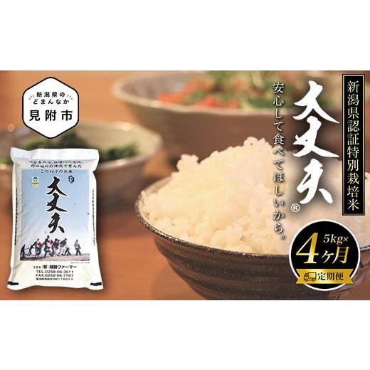 ふるさと納税 新潟県 見附市 令和5年産新潟産コシヒカリ（県認証特別栽培米）「大丈夫」精米5kg