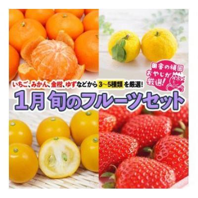 ふるさと納税 つくばみらい市 田舎の頑固おやじが厳選!旬のフルーツセット 1月号