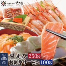 お刺身 セット 甘海老 250g×1P  お刺身 サーモン 100g×1P