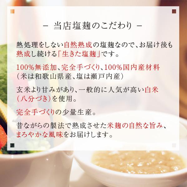 おまかせ 無農薬 旬野菜セット10種類以上と手づくり塩麹［送料無料］■期日指定不可・翌日受取限定 ※時間指定にご注意ください■