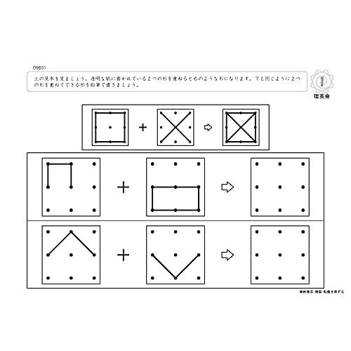 096 ばっちりくんドリル 点図形の発展(応用編) (理英会の家庭学習支援シリーズ)