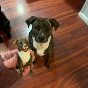 【客製化3D寵物紀念公仔】訂製手作似顏繪肖像狗狗貓咪毛小孩娃娃