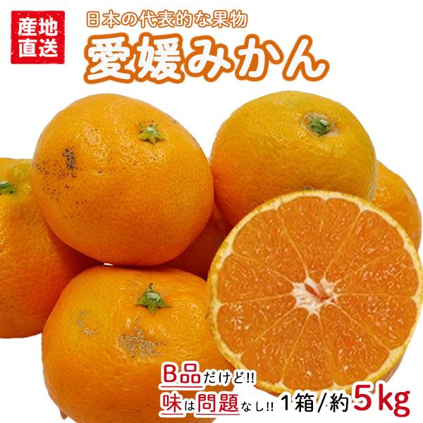 みかん 訳あり 送料無料 5kg B品 愛媛 みかん 温州みかん ミカン 蜜柑 安い 甘い 箱買い 産地直送 愛媛県産 YDF-001