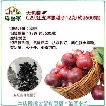 【綠藝家】大包裝C29.紅皮洋蔥種子12克(約2600顆)