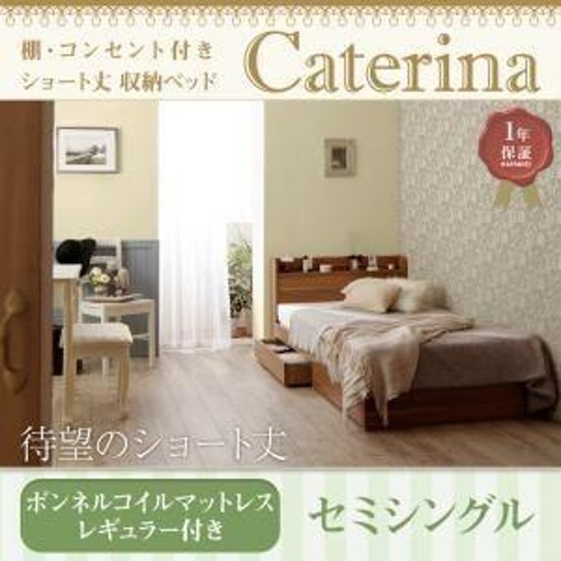 収納ベッド セミシングル〔Caterina〕〔スタンダードボンネルコイル