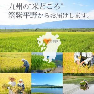 ふるさと納税 福岡の食卓ではおなじみの人気のお米「夢つくし」5kg×2袋 10kg [玄米] 福岡県大川市