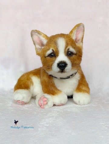 威尔士柯基犬小狗逼真的玩具