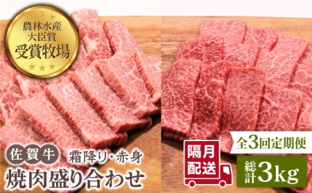 佐賀牛 焼肉セット 1.0kg（霜降り・赤身 各500g）黒毛和牛 焼肉 バーベキュー BBQ[HBH122]