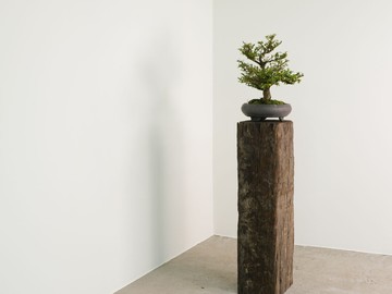 戶外展示台 置物架 盆栽植物收納架