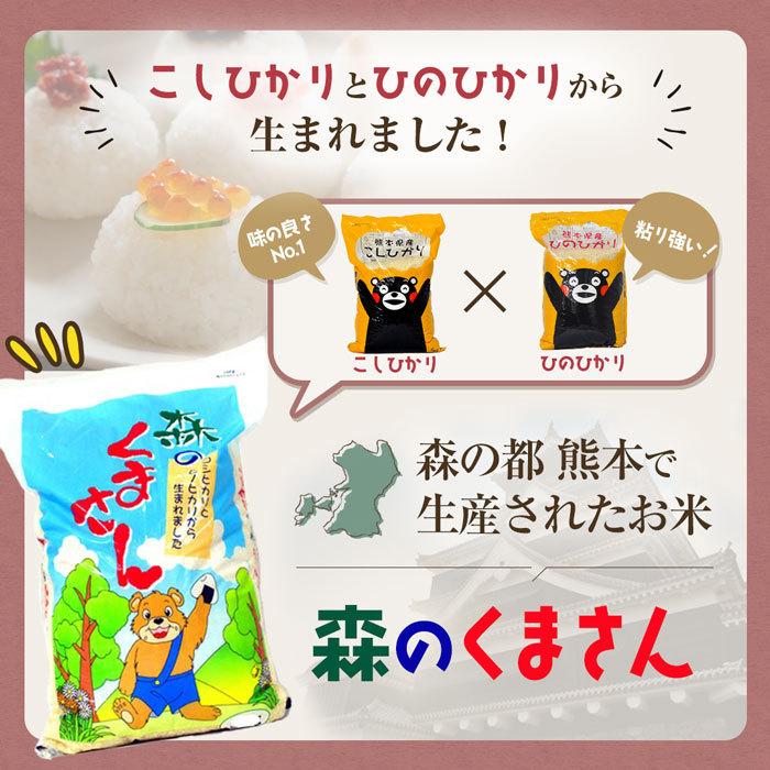 令和４年　熊本県産森のくまさん　白米10kg　米10ｋｇ　おいしい