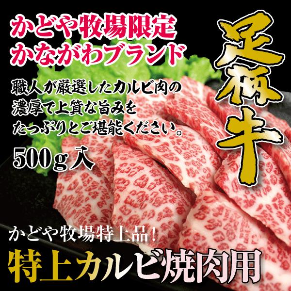 足柄牛特上カルビ焼肉用500g 焼肉 セット バーベキュー BBQ bbq ブランド ホルモン 牛 肉 牛肉  国産 ギフト 父の日 母の日 パーティー