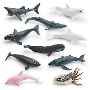 🌈「動物世界」仿真海洋動物模型兒童認知墨魚姥鯊藍鯨抹香鯨座頭鯨海豚擺件