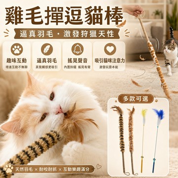 貓玩具 雞毛撣逗貓棒 貓咪解悶玩具 貓咪互動玩具 真羽毛逗貓棒 搖晃鈴鐺羽毛逗貓棒 真羽毛鈴鐺款 逗趣吸睛