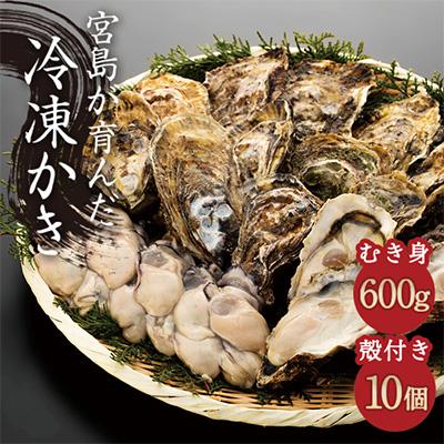 ふるさと納税 廿日市市 広島牡蠣食べ比べセット