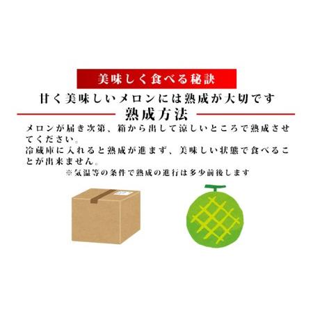 ふるさと納税 ふらの山部の絶品メロン『鳳凰』 2L（1.8〜2kg）×3玉（坂口農産） 北海道富良野市