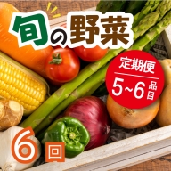 野菜 お楽しみ 定期便 6回 有機野菜 5～6品目 詰め合わせ セット 有機栽培 玉ねぎ とまと じゃがいも