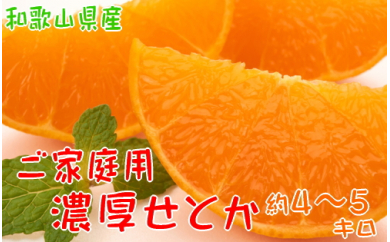 和歌山の濃厚せとか　約4～5kg　（ご家庭用訳あり）※2024年2月下旬～3月下旬頃に順次発送予定※沖縄地域へのお届け不可