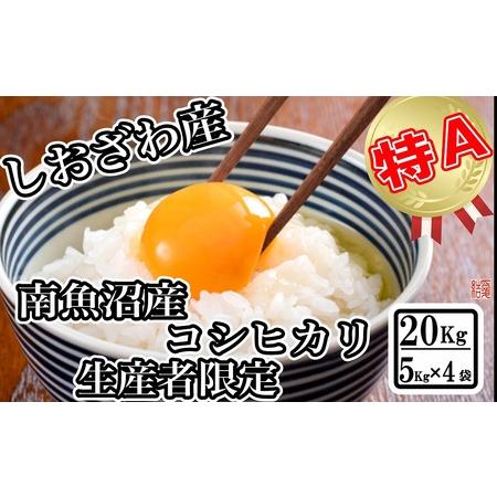 ふるさと納税 南魚沼しおざわ産コシヒカリ20kg（５kg×4袋） 新潟県南魚沼市