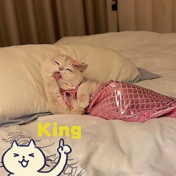 可愛美人魚尾巴造型貓咪連身裙 輕鬆穿脫打造趣味寵物變裝造型 柔軟布料舒適親膚中小型貓犬適合穿著 搞怪吸睛適合日常打卡拍照