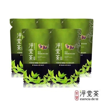【TEAPOWER 茶寶】淨覺茶 茶籽碗盤蔬果洗潔液補充包700ml(5包)
