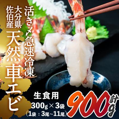 ふるさと納税 佐伯市  天然 車エビ 生食用 (計900g・1袋300g×3袋)