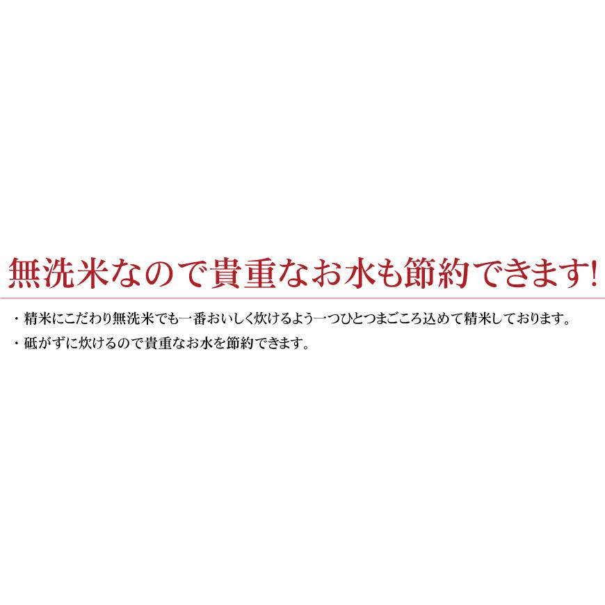 令和5年産 5年保存無洗米 個人用備蓄米『米心』40kg（約4ヶ月の備蓄）北海道産特別栽培米ゆめぴりかのみ使用