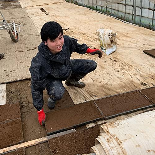 水菜土農園新米 令和5年産 秋田県産 あきたこまち 20kg (5kg×4袋) 古代米お試し袋付き