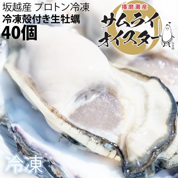 坂越かき　冷凍殻付牡蠣40個 (加熱用) ★驚きのぷりぷりで美味しい牡蠣♪ 熱を加えても縮まない魔法の牡蠣。