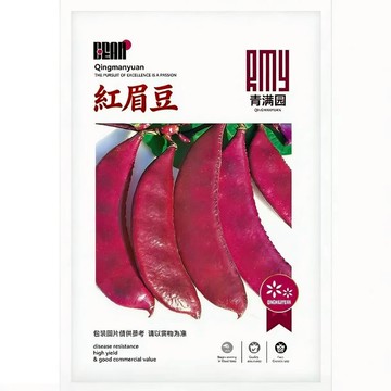 【台灣原裝紅豆種子】 紅眉豆 萬丹紅豆 有機豆種 盆栽食材兩用 家庭菜園 陽台種植 易栽種 自產自銷 非基改