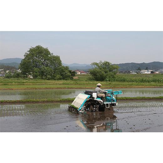 ふるさと納税 山形県 新庄市 令和5年産よっしーの超こだわり米（農薬不使用) コシヒカリ（玄米）5kg×3 米 お米 おこめ 山形県 新庄市 F3S-162…