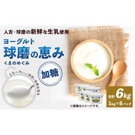 ふるさと納税 熊本県 相良村 球磨の恵み ヨーグルト 加糖 1kg×6パック 乳製品