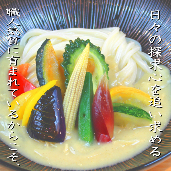 石丸製麺 半生讃岐うどん包丁切り つゆ付 260g×6個