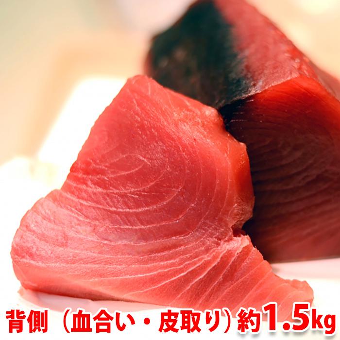 生・本マグロ　中トロ・赤身ブロック　約1.5kg　国産・養殖 （血合い・皮取り） 背側