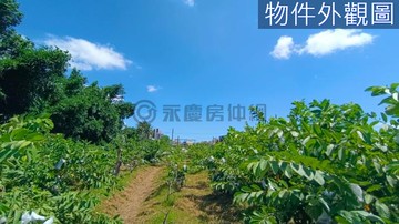 岡山燕巢國一交流道旁方正便宜都內農地						｜高雄市燕巢區安西段