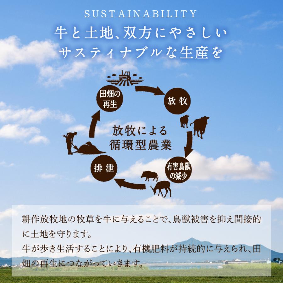 ランプステーキ 合計600g (150g×4枚) 純日本産 グラスフェッドビーフ 国産 黒毛和牛 赤身 牛肉 焼き肉 BBQ お歳暮 ギフト 送料無料