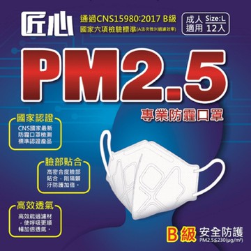 【匠心】PM2.5 B級 防霾口罩 12入/盒  〈共兩色〉