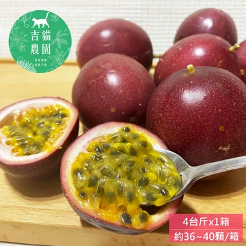 預購【吉貓農園】高雄內門百香果4台斤x1箱(約36~40顆/箱_特級中果_產地直送)