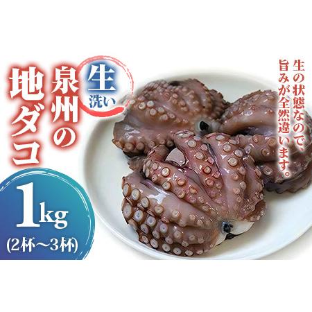 ふるさと納税 生洗い泉州の地タコ1kg(2尾〜3尾) [0531] 大阪府泉大津市