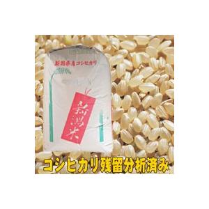 令和4年産 新潟県産 残留農薬析済み コシヒカリ 玄米１０ｋｇ 精米無料