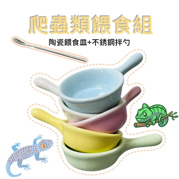 【彼得貓水族】爬蟲類餵食皿 餵食碗 餵食杓 餵食盆 不銹鋼拌勺 陶瓷餵食碗 爬蟲類 守宮 蜥蜴