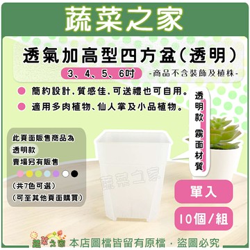 【蔬菜之家】透氣加高型四方盆3、4、5、6吋 (透明)單入、10/組(2種規格可選)