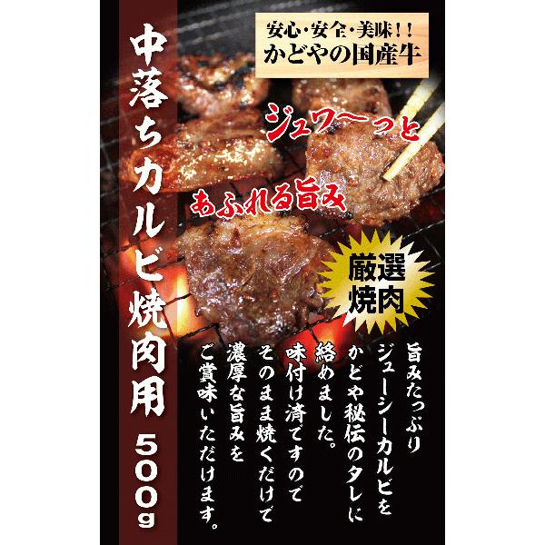 国産牛中落ちカルビ焼肉用500g 　国産 牛肉 焼肉 BBQ