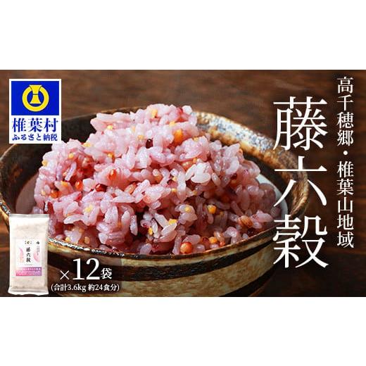 ふるさと納税 宮崎県 椎葉村 藤の花色に染まる美しい六穀米《藤六穀》300g×12袋