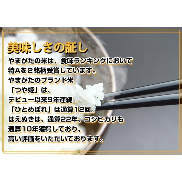  令和4年 山形県 庄内産 はえぬき 一等米 白米 5kg （特別栽培米）