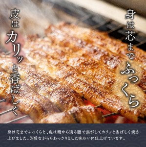 名店の味 国産鰻 宮崎県産うなぎ蒲焼 3尾 (ウナギ390g以上)《うなぎ・蒲焼きのたれ・粉山椒 セット》