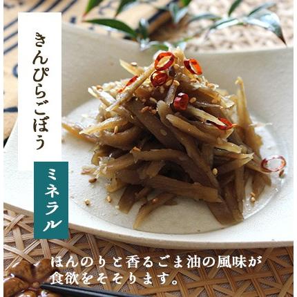 2023 お歳暮 ギフト お惣菜 セット 冷凍食品 冷凍 惣菜 無添加 おかず 詰め合わせ 食品 温めるだけ お試しセット 9種類×1パック