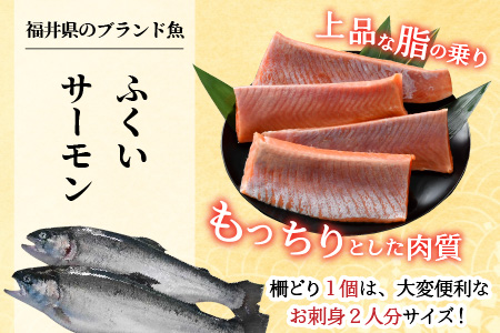 《定期便12回》ふくいサーモン 柵どり 150g×4パック 計600g ＜鮮度抜群！真空冷凍＞ ／ 生食OK 刺身 鮭 国産 ※2024年8月中旬以降順次発送