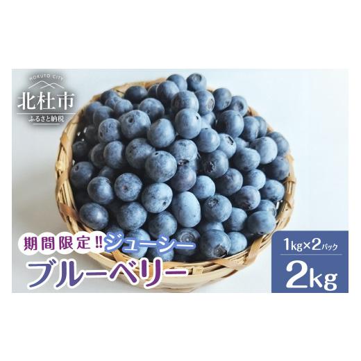 ふるさと納税 山梨県 北杜市 大人気！甘くジューシーな冷凍ブルーベリー2kg（1kg×2パック）