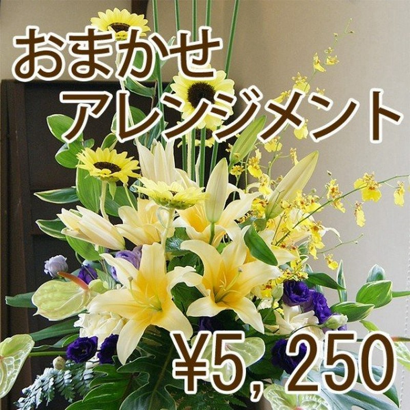 バレンタイン プロにおまかせ フラワーアレンジメント 5000円 通販 Lineポイント最大0 5 Get Lineショッピング